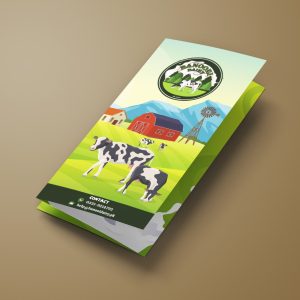 banoori dairy brochure