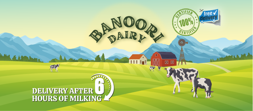 Banoori Dairy Case Study