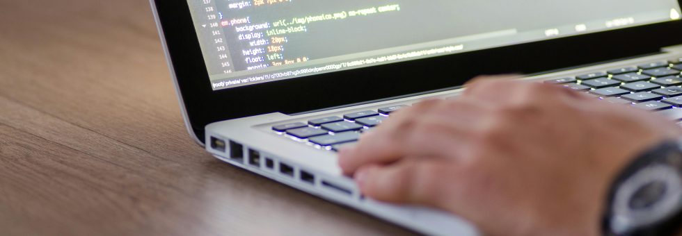 REDLUMB seo case study