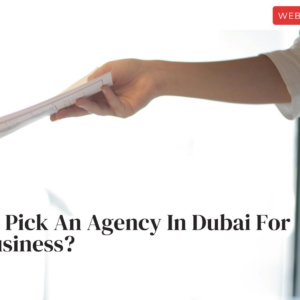 How To Pick An Agency In Dubai For Your Business [Important Points]