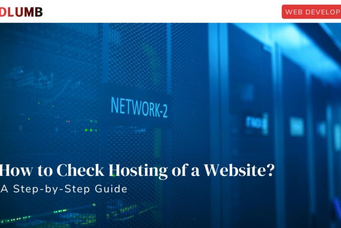 How to Check Hosting of a Website: A Step-by-Step Guide