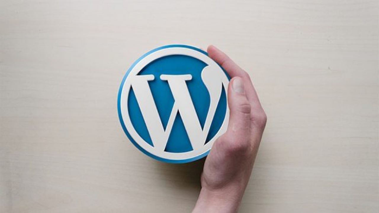 WordPress Logo