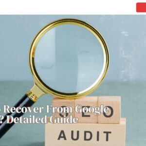 How To Recover From Google Update? Detailed Guide