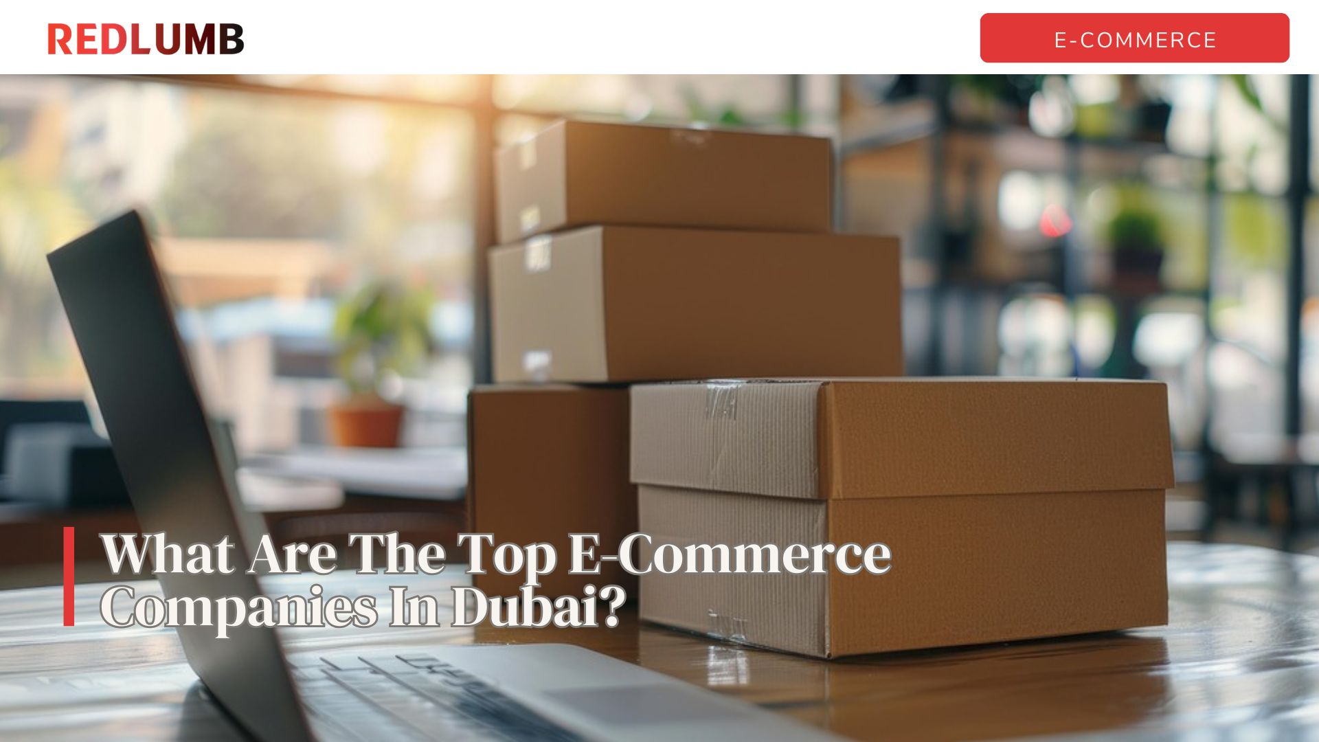 What Are The Top E-Commerce Companies In Dubai?
